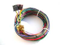 Painless Wiring - Painless Wiring Engine Harness only for 20102 w/o bulkhead connector-11 Circuits 21001 - Image 1